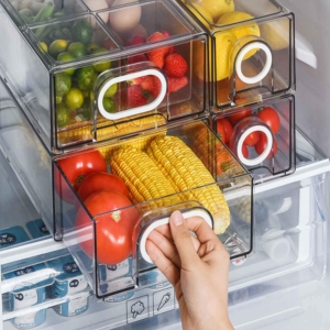 Refrigerator Container